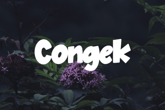 Congek Font for Creative Crafts